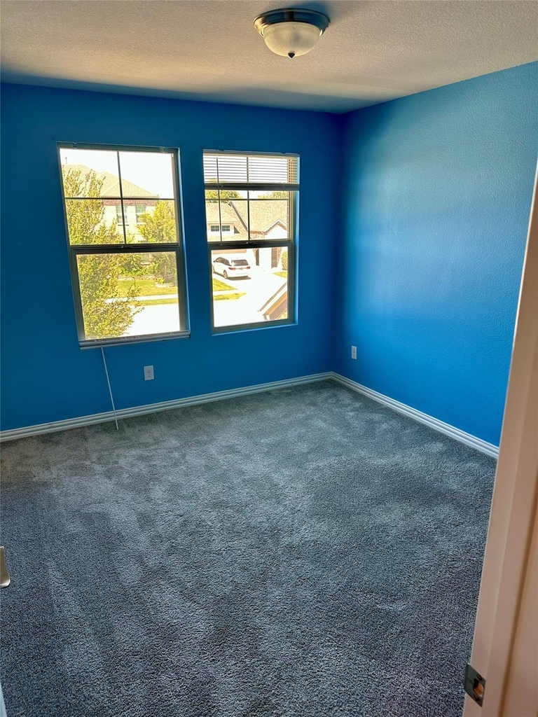10012 Callan Lane - Photo 9