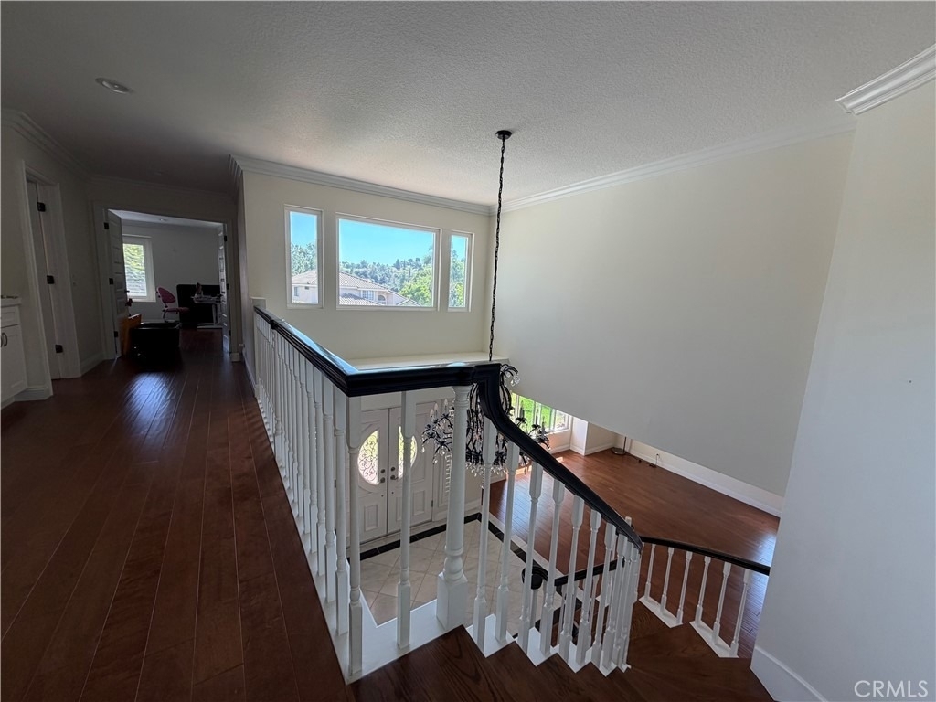 2079 Calle Francesca - Photo 8