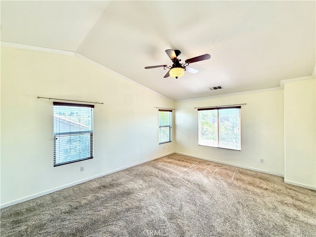 33602 Magnetite Street - Photo 30