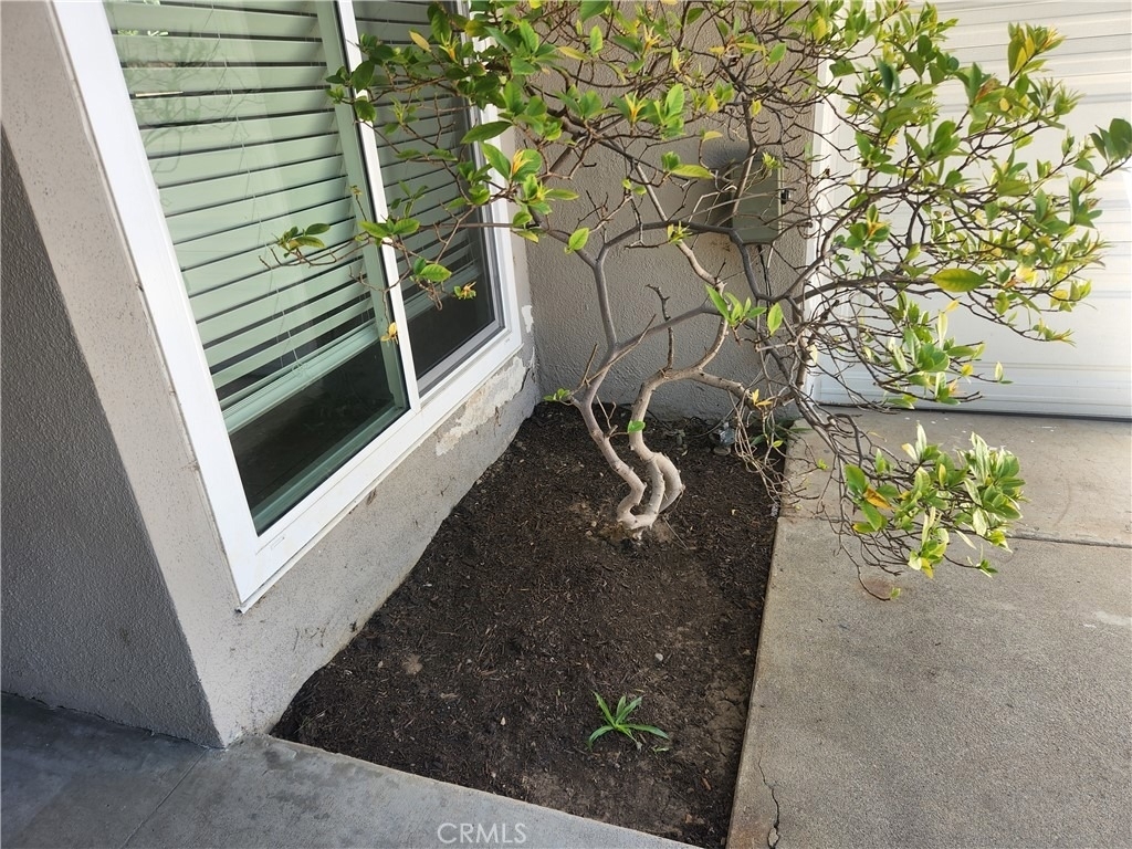 20518 Napa - Photo 5
