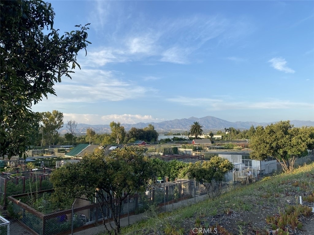 881 Via Mendoza - Photo 46