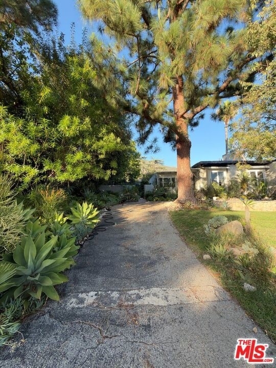 3323 Reta Street - Photo 47