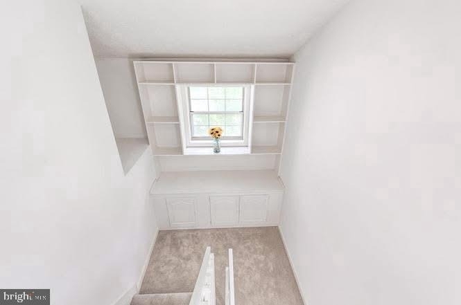 12110 Cardamom Drive - Photo 6