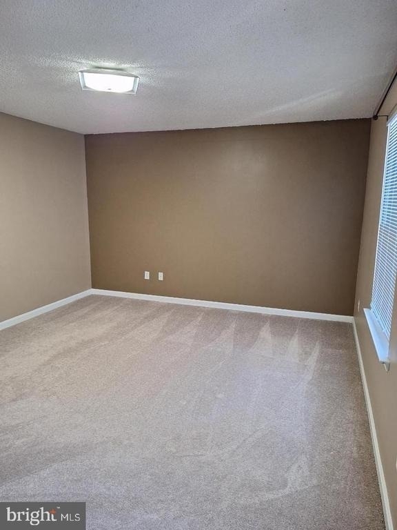 12219 Chaucer Lane - Photo 12