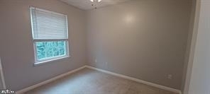 12219 Chaucer Lane - Photo 16