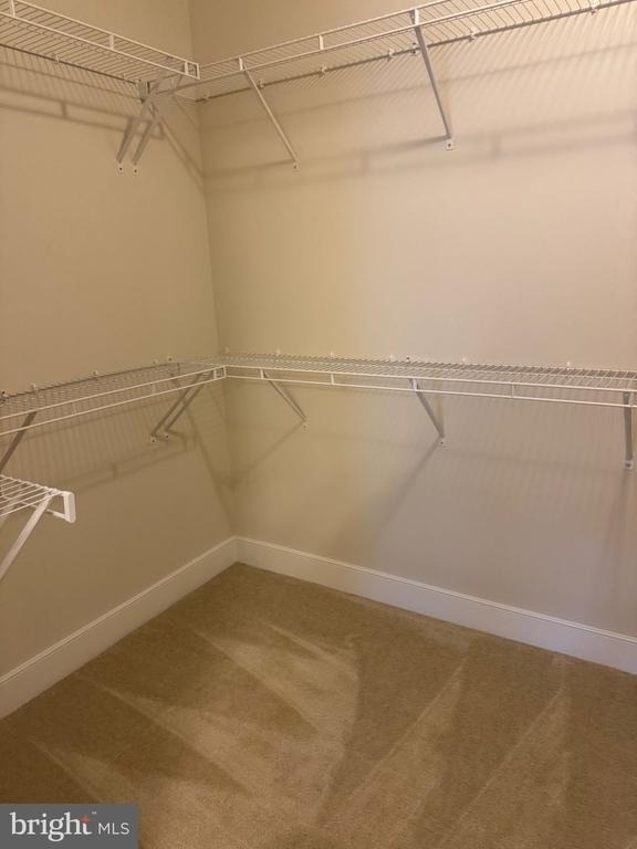 2903 Bleeker Street - Photo 9