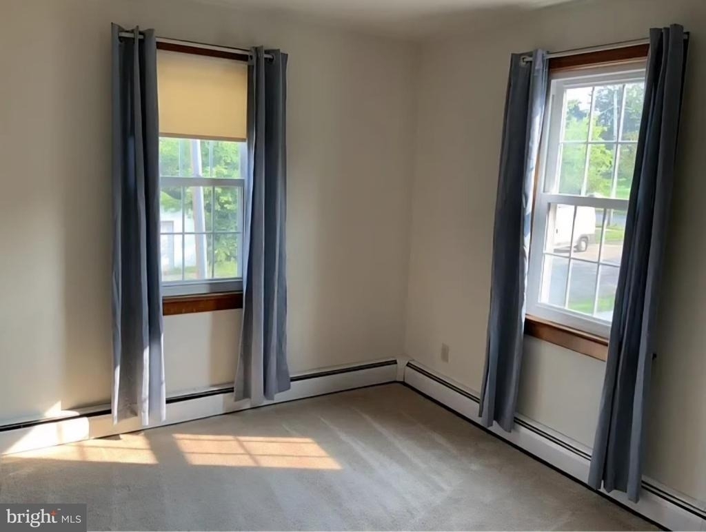 917 Haw Street - Photo 8