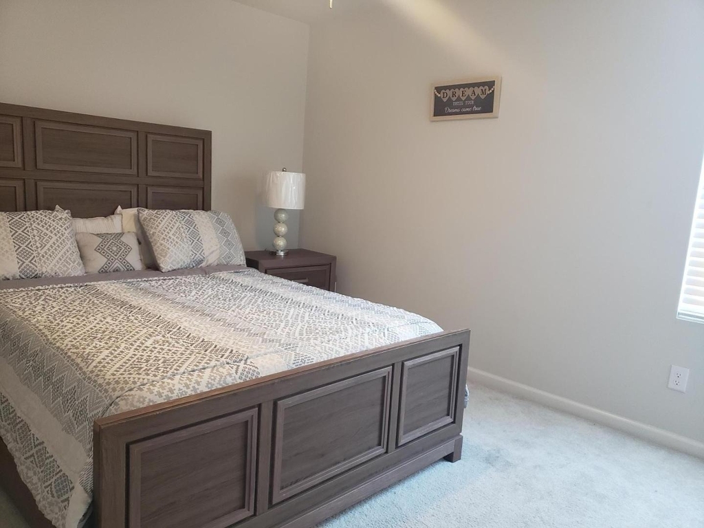 4017 Whitney Peak Drive - Photo 14