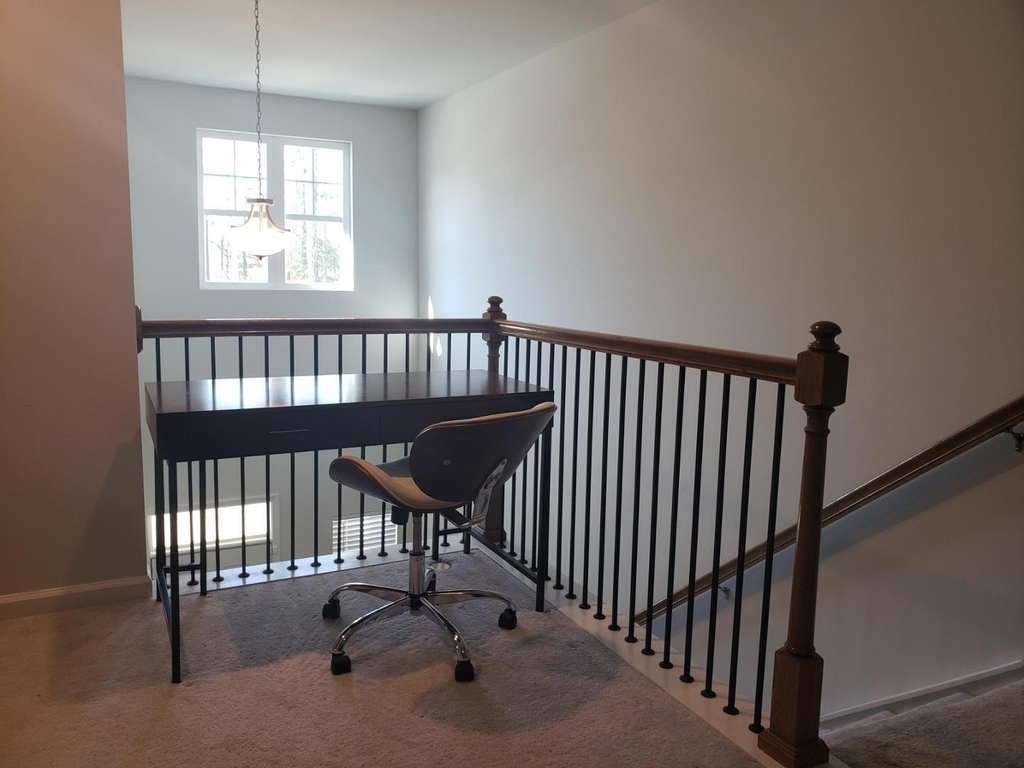 4017 Whitney Peak Drive - Photo 6