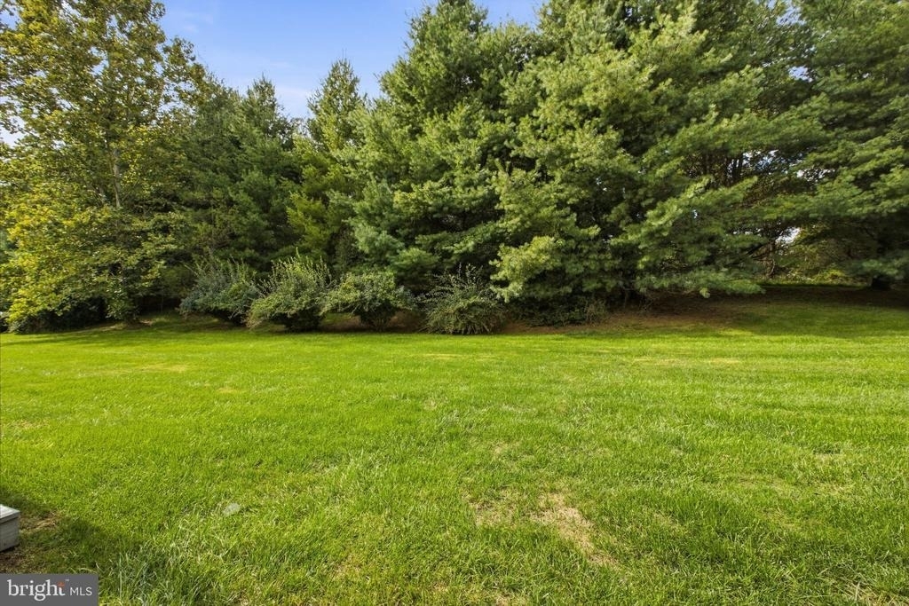 54 Old Barn Drive - Photo 74