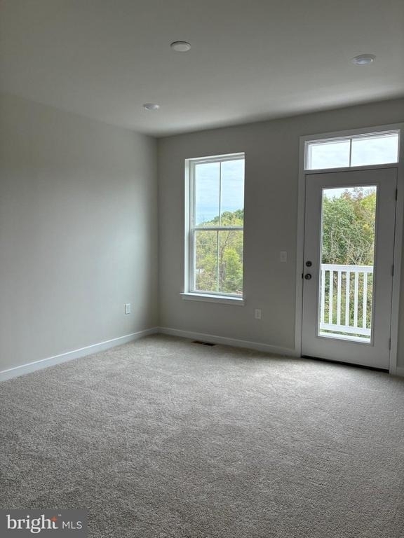608 Brass Lane - Photo 14
