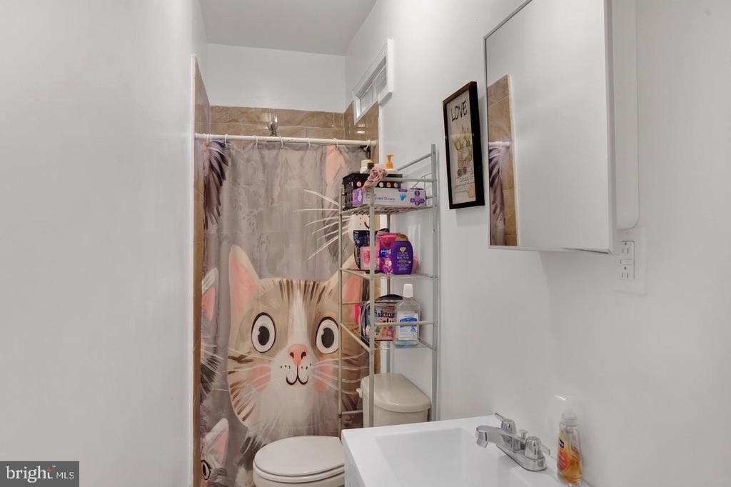 833 Green Street - Photo 8