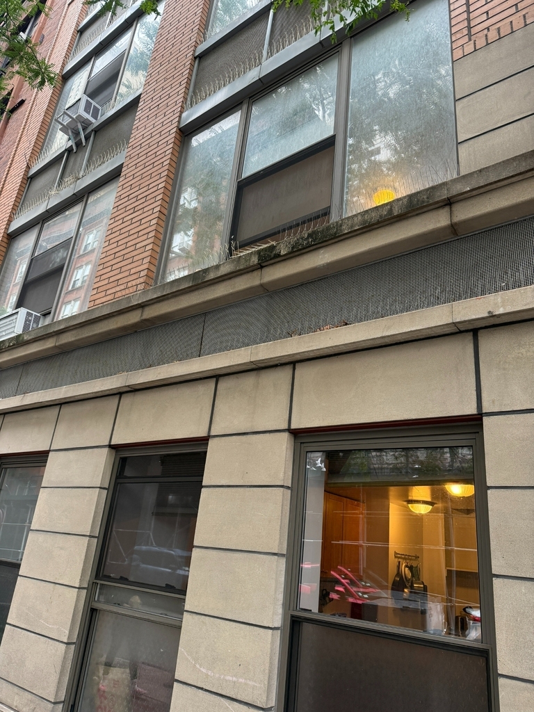 73 Pineapple Street - Photo 13