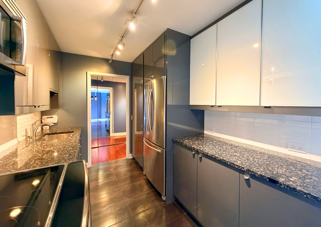 1555 N Sandburg Terrace - Photo 10