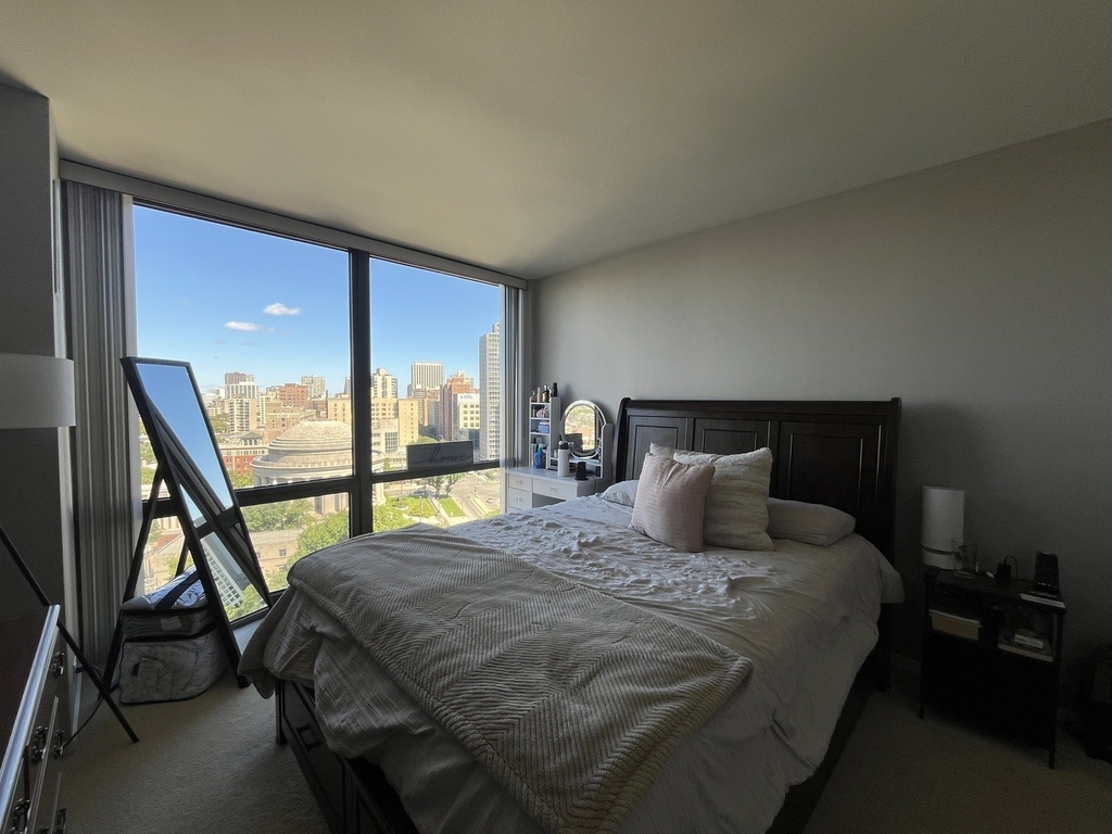 2650 N Lakeview Avenue - Photo 10