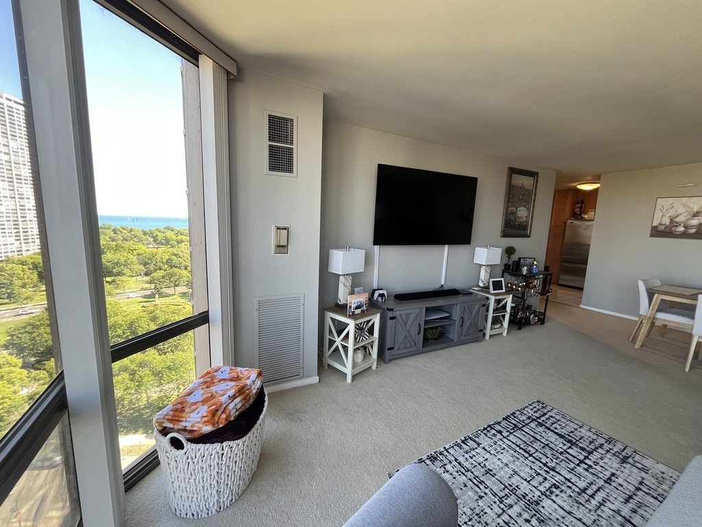 2650 N Lakeview Avenue - Photo 4