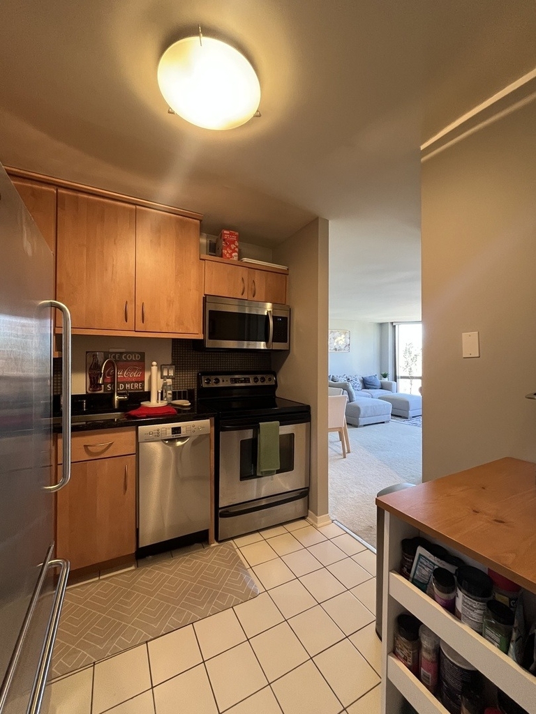 2650 N Lakeview Avenue - Photo 6