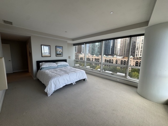 445 E North Water Street - Photo 10