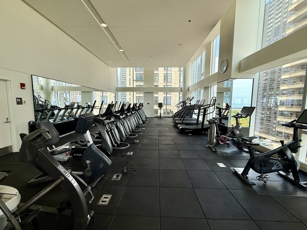 500 N Lake Shore Drive - Photo 16