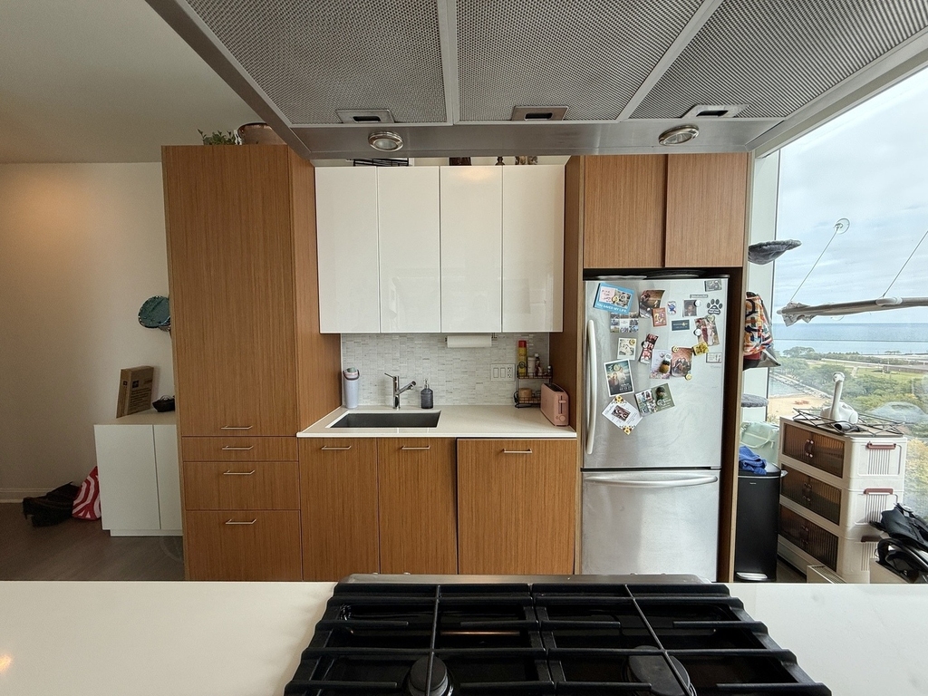 500 N Lake Shore Drive - Photo 4