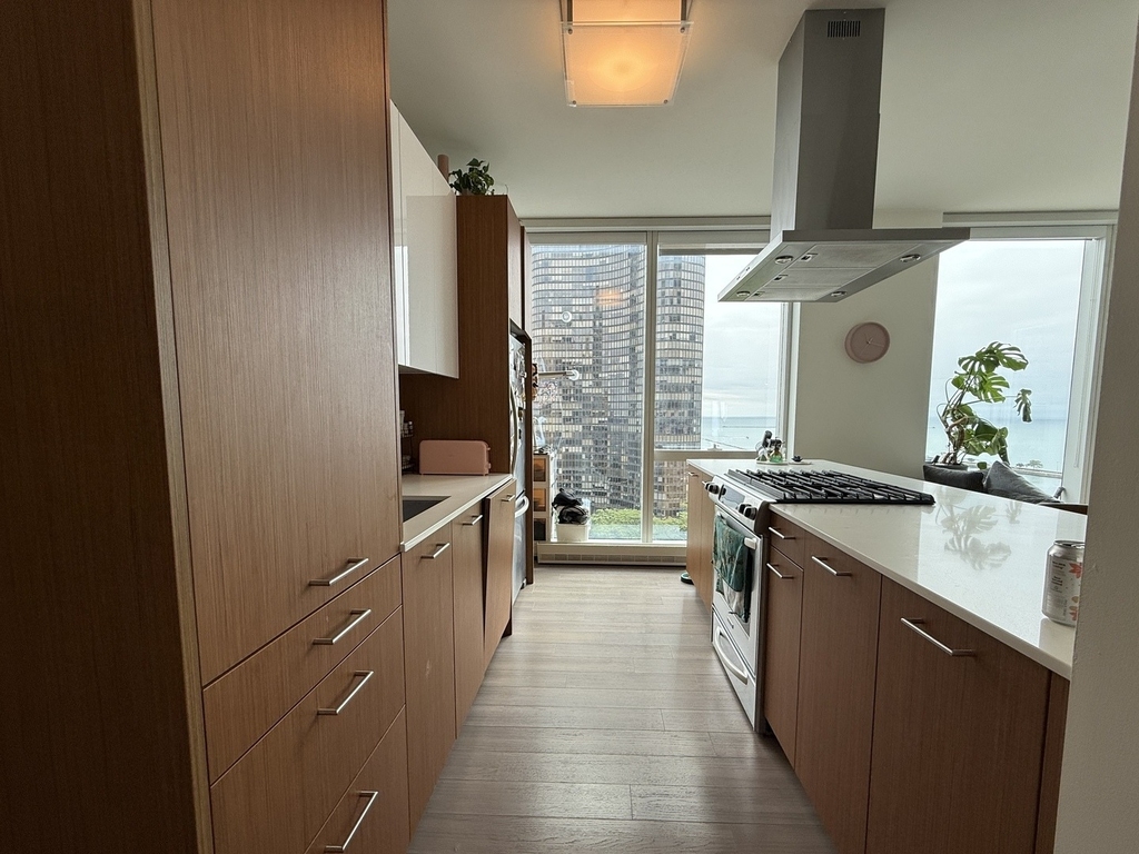 500 N Lake Shore Drive - Photo 1