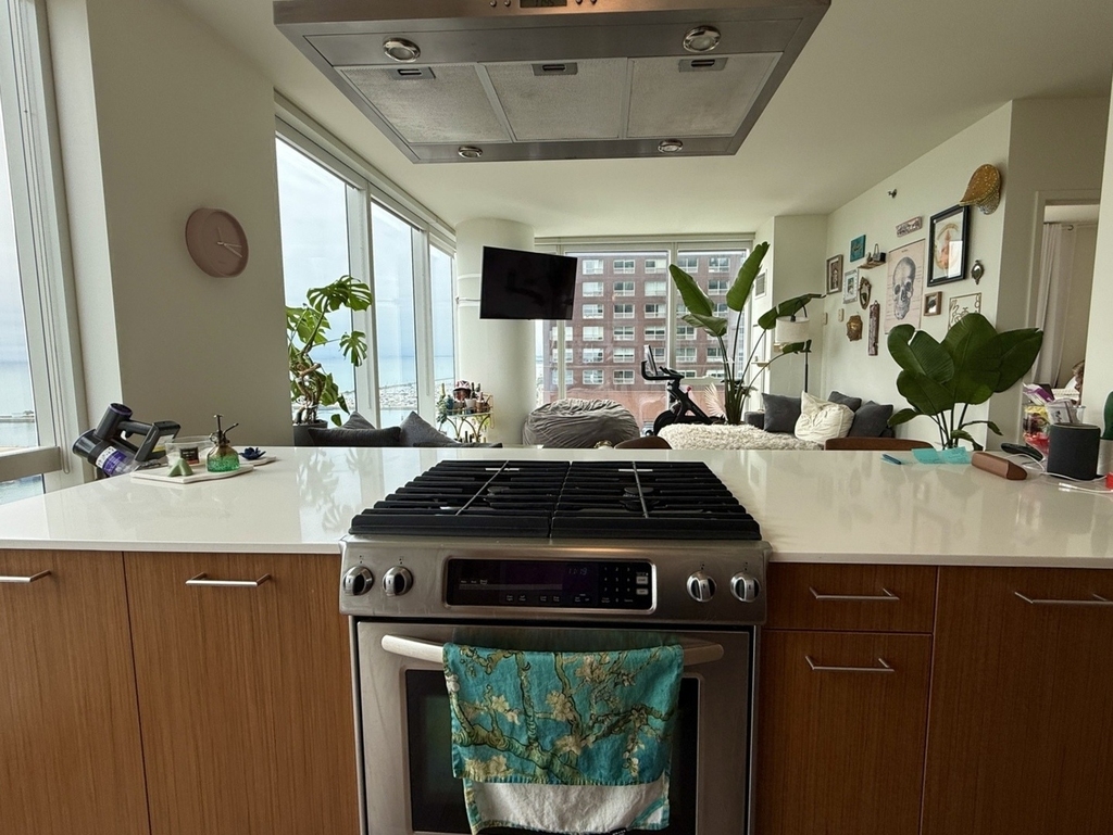 500 N Lake Shore Drive - Photo 3