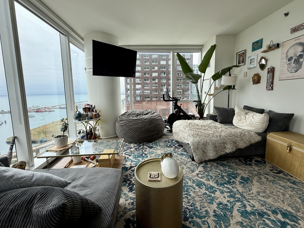 500 N Lake Shore Drive - Photo 5