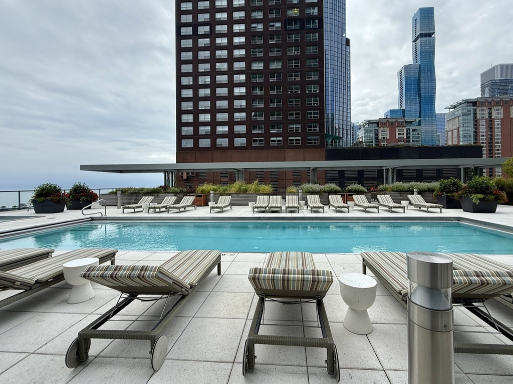 500 N Lake Shore Drive - Photo 10