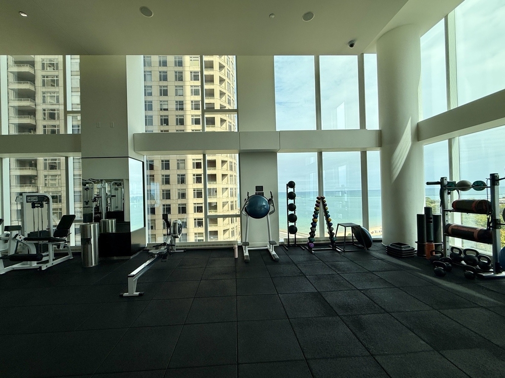 500 N Lake Shore Drive - Photo 19