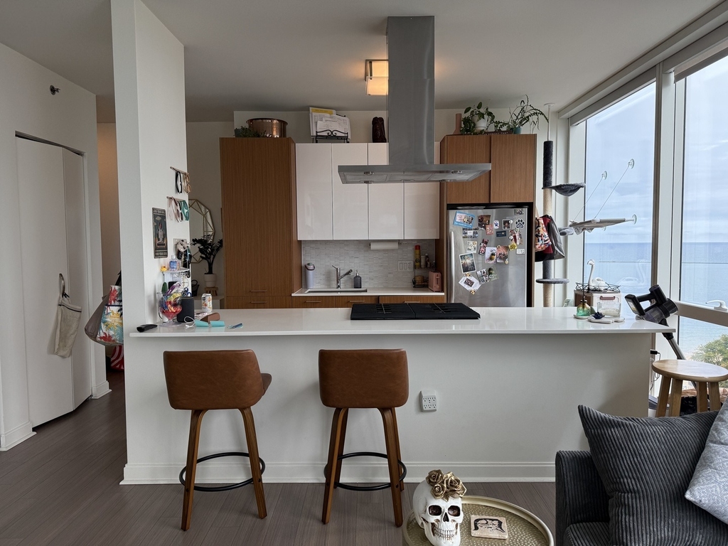 500 N Lake Shore Drive - Photo 2