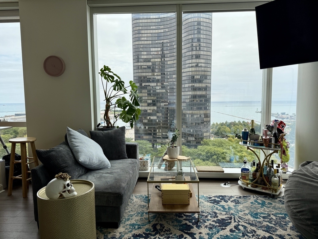 500 N Lake Shore Drive - Photo 6