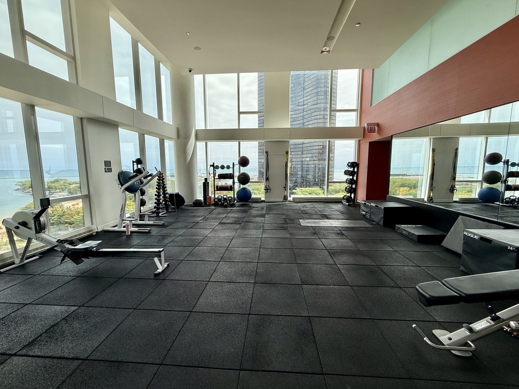 500 N Lake Shore Drive - Photo 18