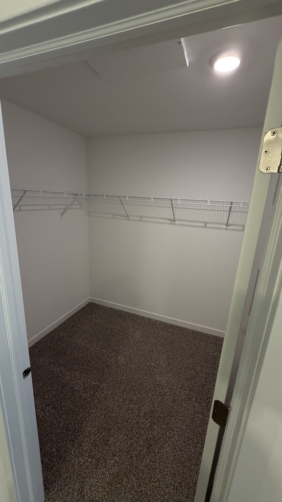 2413 Semillon Street - Photo 8