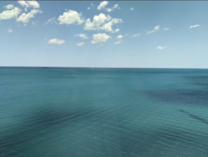7337 S South Shore Drive - Photo 21