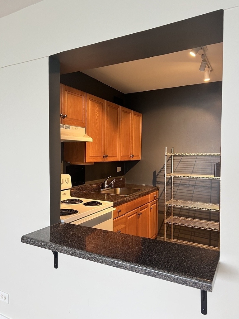 7337 S South Shore Drive - Photo 6