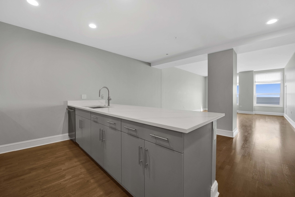 850 N Lake Shore Drive - Photo 9