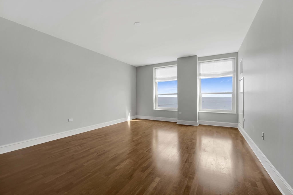 850 N Lake Shore Drive - Photo 4