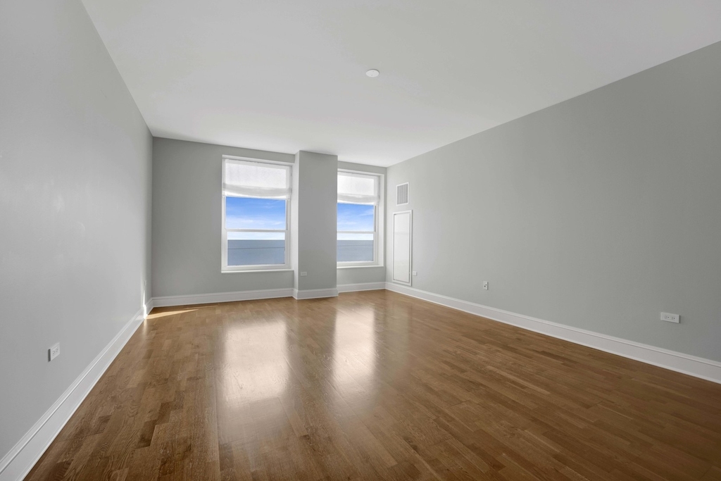 850 N Lake Shore Drive - Photo 3