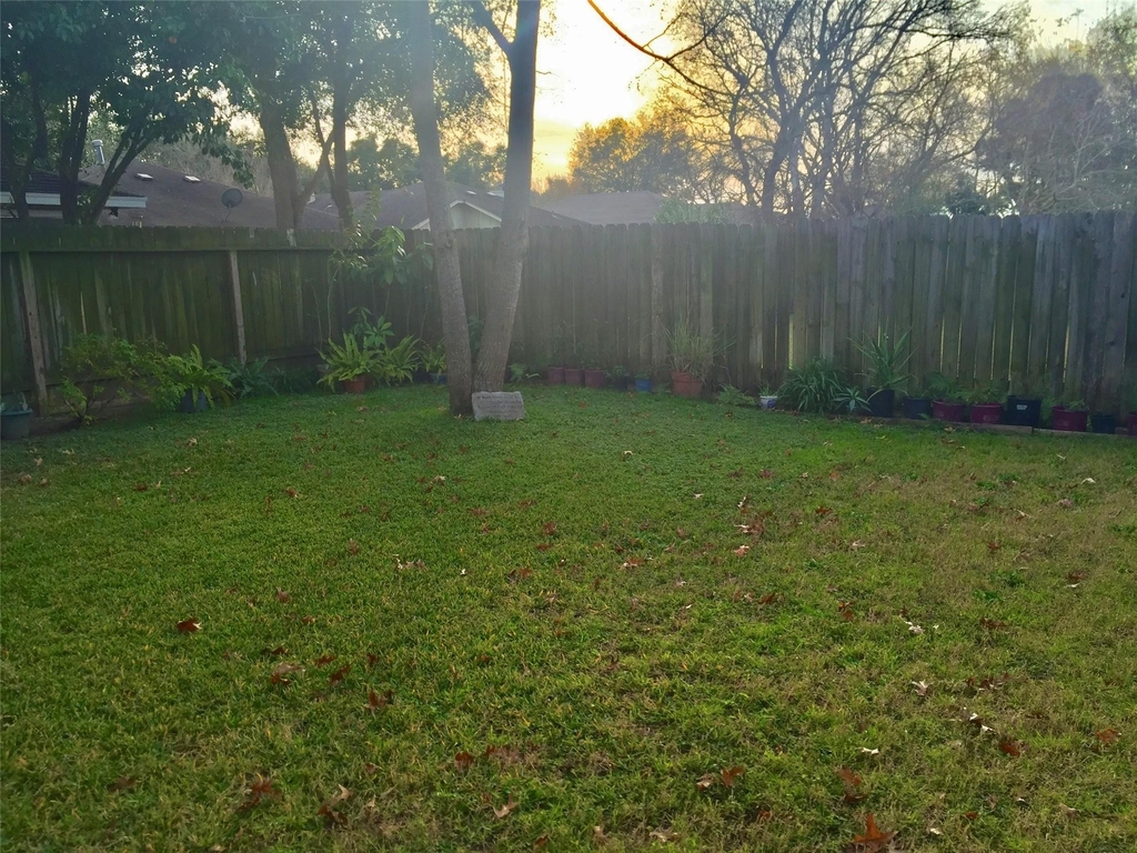 20519 Boxridge Lane - Photo 15