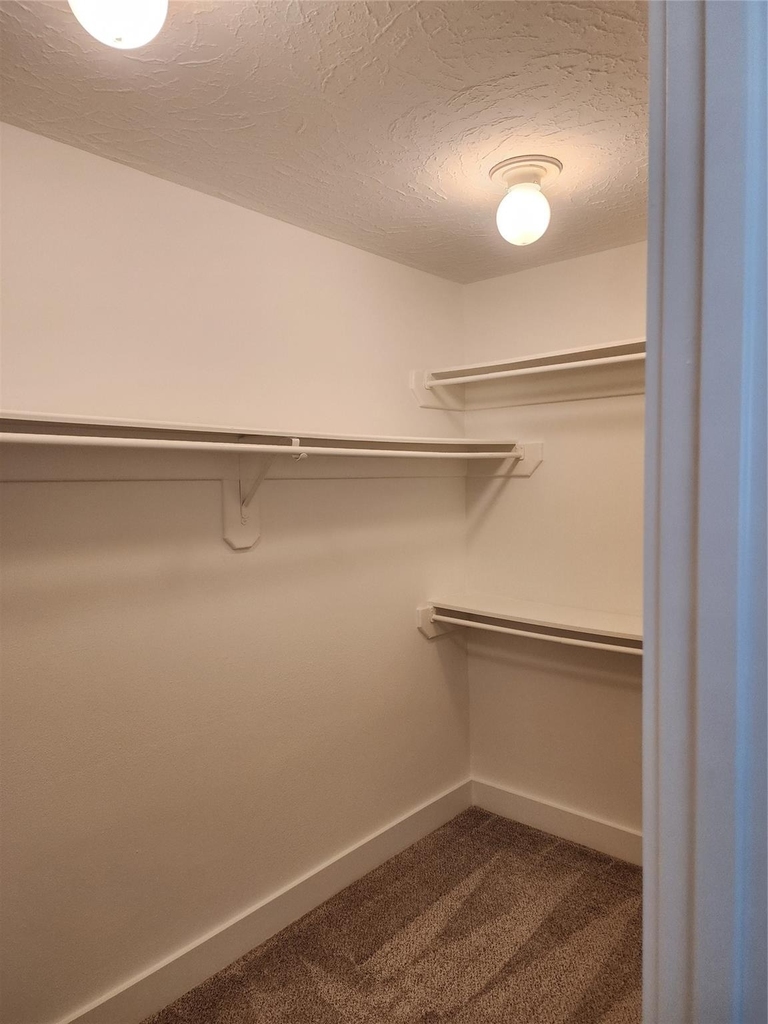17415 Chamberlain Drive - Photo 12