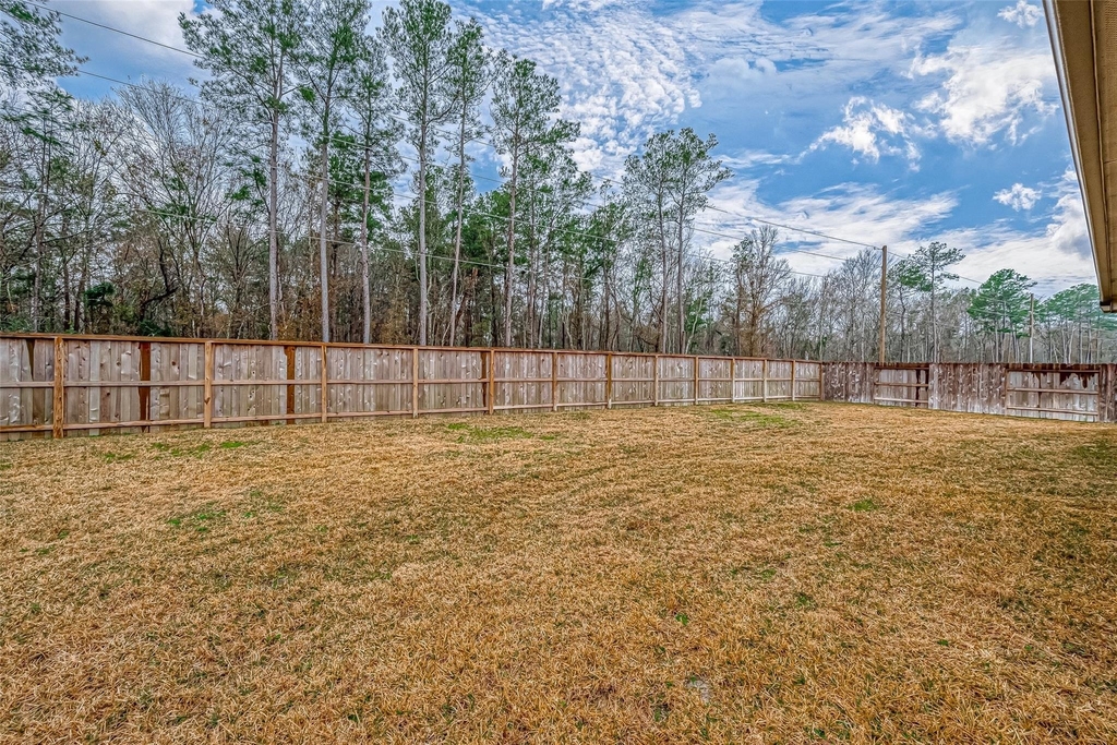 23722 Canolo Grove Lane - Photo 43