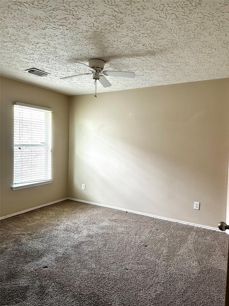 435 Brushy Glen Drive - Photo 10
