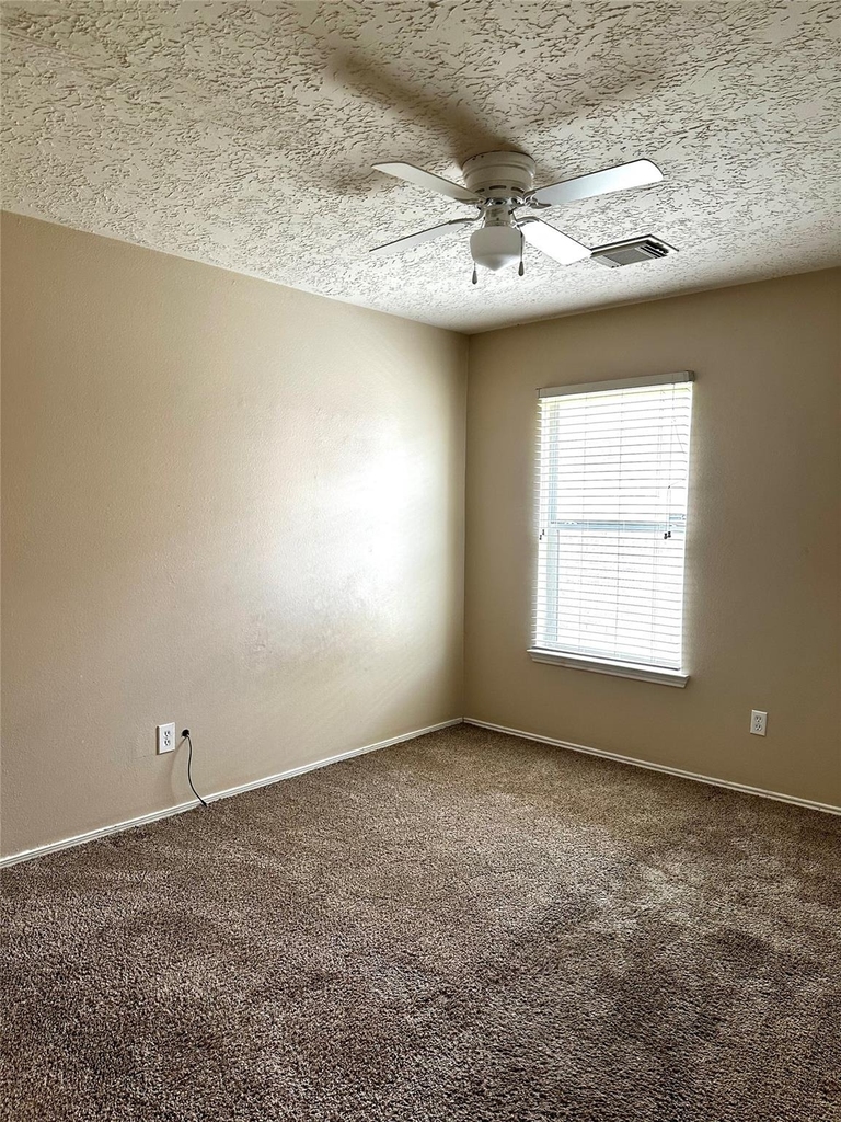 435 Brushy Glen Drive - Photo 9