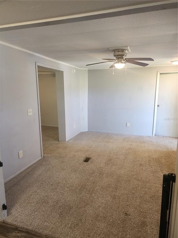 36650 Terry Road - Photo 2