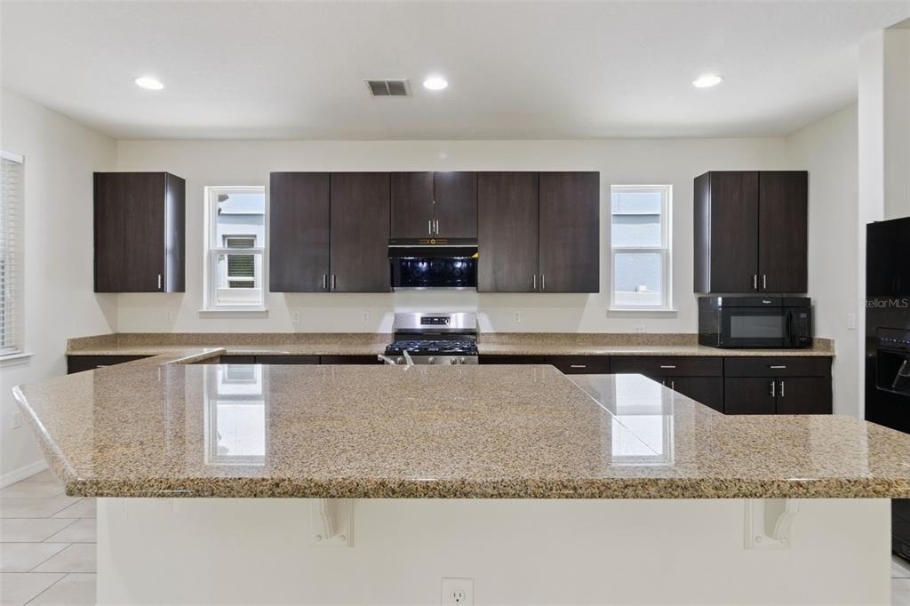 14741 Snowy Egret Street - Photo 10