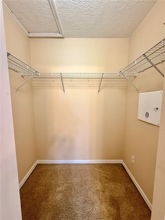 3663 Caruso Place - Photo 8
