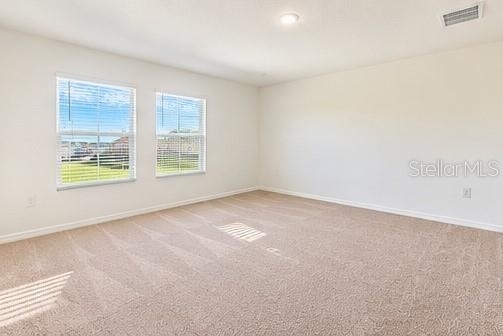 6028 Prairie Run - Photo 11