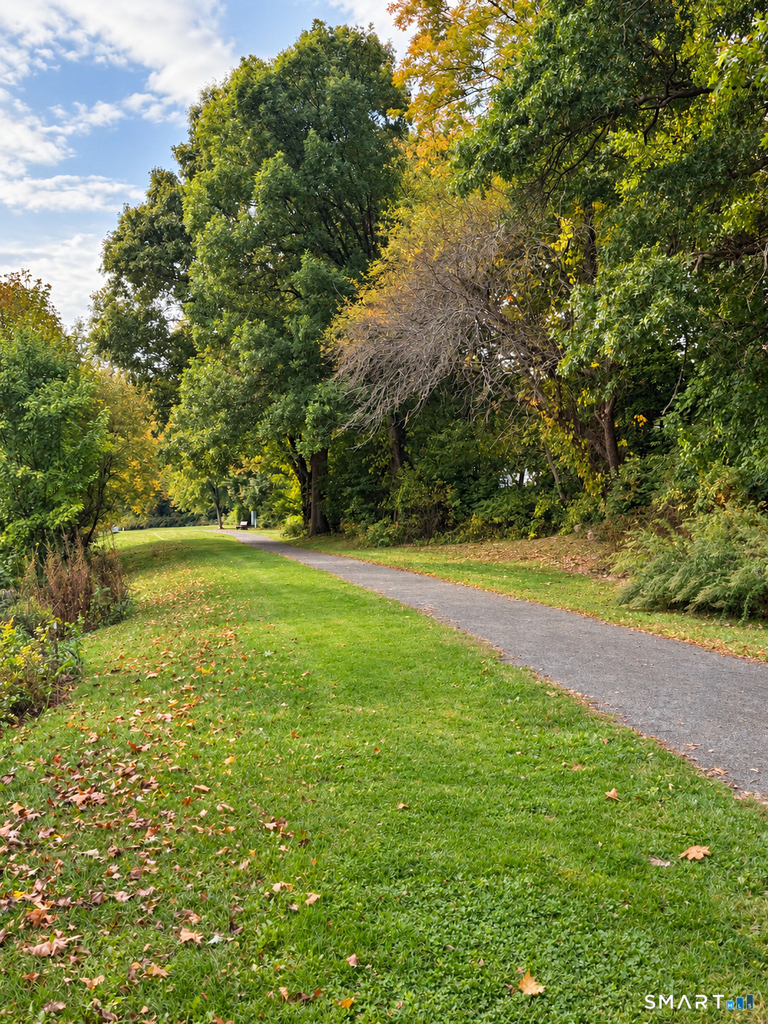 13 Holt Street - Photo 11