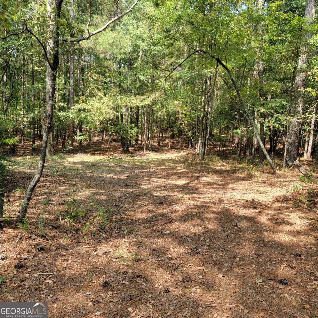 3941 Lake Carlton Road S - Photo 9