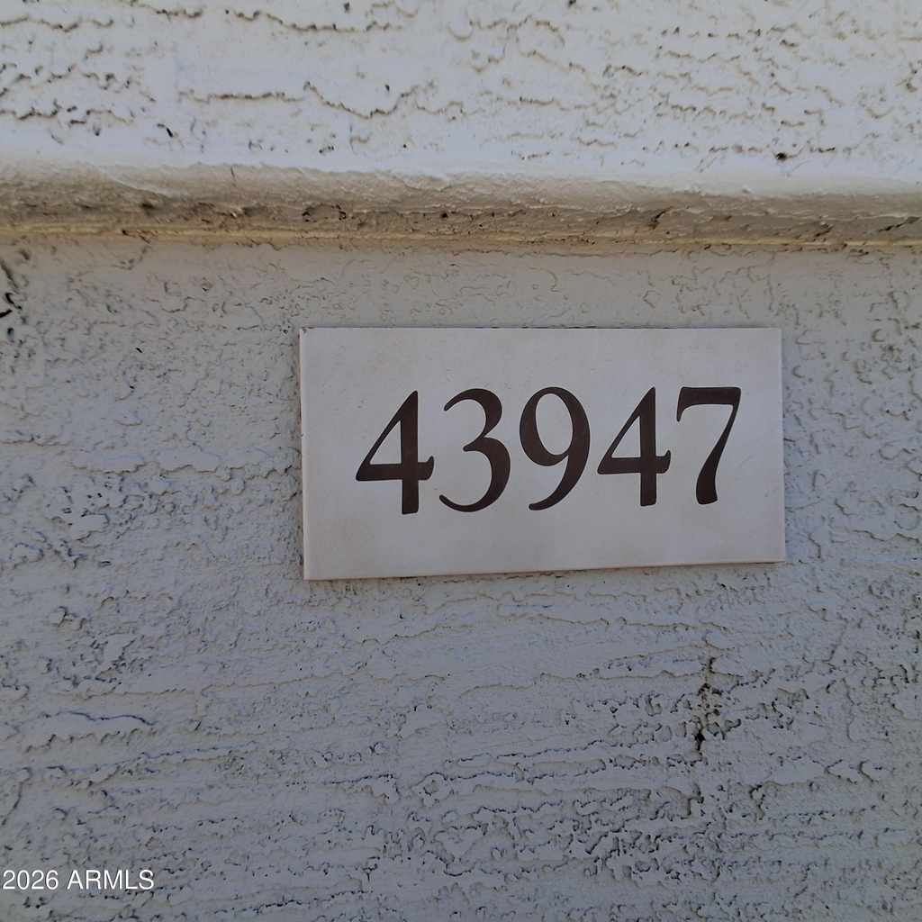 43947 W Palo Ceniza Way - Photo 4